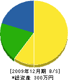 松田造園 貸借対照表 2009年12月期