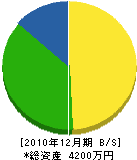上野山設備 貸借対照表 2010年12月期