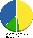 平山造園 貸借対照表 2009年12月期