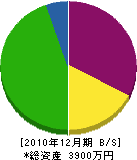 加藤塗装店 貸借対照表 2010年12月期