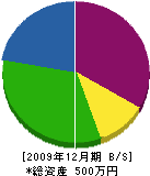 塩田畳店 貸借対照表 2009年12月期
