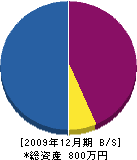 豊倉畳襖店 貸借対照表 2009年12月期