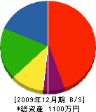 新井田建築 貸借対照表 2009年12月期 新井田建築 貸借対照表 2009年12月期