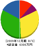 村田水道工業所 貸借対照表 2009年12月期