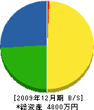 武田電気 貸借対照表 2009年12月期