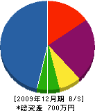 長井電器 貸借対照表 2009年12月期