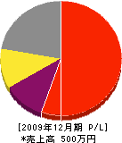 渡辺水道 損益計算書 2009年12月期
