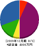 藤村建設 貸借対照表 2009年12月期