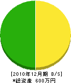 阪本塗装店 貸借対照表 2010年12月期