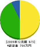 辻電機 貸借対照表 2009年12月期