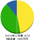 伊澤電気商会 貸借対照表 2010年12月期