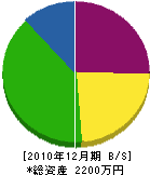 山口木工所 貸借対照表 2010年12月期
