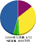 﨑村組 貸借対照表 2009年12月期