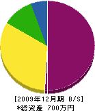 松和園 貸借対照表 2009年12月期