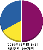 戸川建設 貸借対照表 2010年12月期