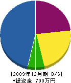 中村塗装工業 貸借対照表 2009年12月期