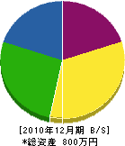 進藤電気商会 貸借対照表 2010年12月期