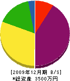 坂倉塗装店 貸借対照表 2009年12月期