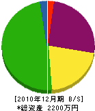 峰電気水道工事店 貸借対照表 2010年12月期