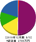 大澤工業所 貸借対照表 2010年12月期