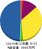 松井建設 貸借対照表 2010年12月期