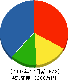 峯田電機 貸借対照表 2009年12月期