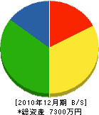 竹内建設 貸借対照表 2010年12月期