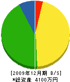 東栄電工 貸借対照表 2009年12月期