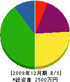 朝日電気工事店 貸借対照表 2009年12月期