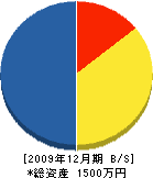 渡辺建築 貸借対照表 2009年12月期