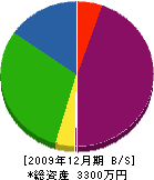 猿田組 貸借対照表 2009年12月期
