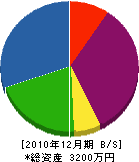 辛川建設 貸借対照表 2010年12月期
