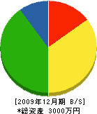 倉元電業 貸借対照表 2009年12月期