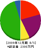 丸仙塗装 貸借対照表 2009年12月期