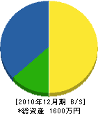 山口翠松園 貸借対照表 2010年12月期