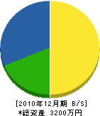 中島電機商会 貸借対照表 2010年12月期