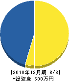 南里宝寿園 貸借対照表 2010年12月期