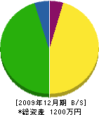 金井緑美園 貸借対照表 2009年12月期
