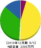 阪本塗装工業 貸借対照表 2010年12月期