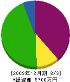 山田塗装店 貸借対照表 2009年12月期