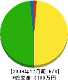 寺田工務店 貸借対照表 2009年12月期