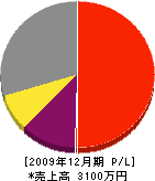 松村工務店 損益計算書 2009年12月期