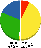 中元土建 貸借対照表 2009年12月期