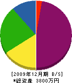 林工業 貸借対照表 2009年12月期