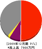 永田建築 損益計算書 2009年12月期