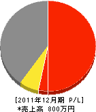 山崎エクステリアセンター 損益計算書 2011年12月期