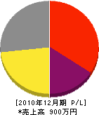 緑光園 損益計算書 2010年12月期 緑光園 損益計算書 2010年12月期