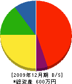 佐藤ペイント 貸借対照表 2009年12月期