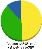 増井電機商会 貸借対照表 2009年12月期