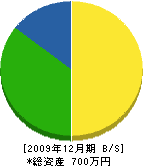 山本塗装 貸借対照表 2009年12月期